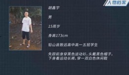 胡某宇事件爆料视频全集,视频全集深度解析