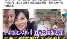 最新王菲爆料新闻