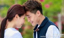 淘婚记全集在线观看,浪漫婚恋之旅，笑中带泪的甜蜜回忆